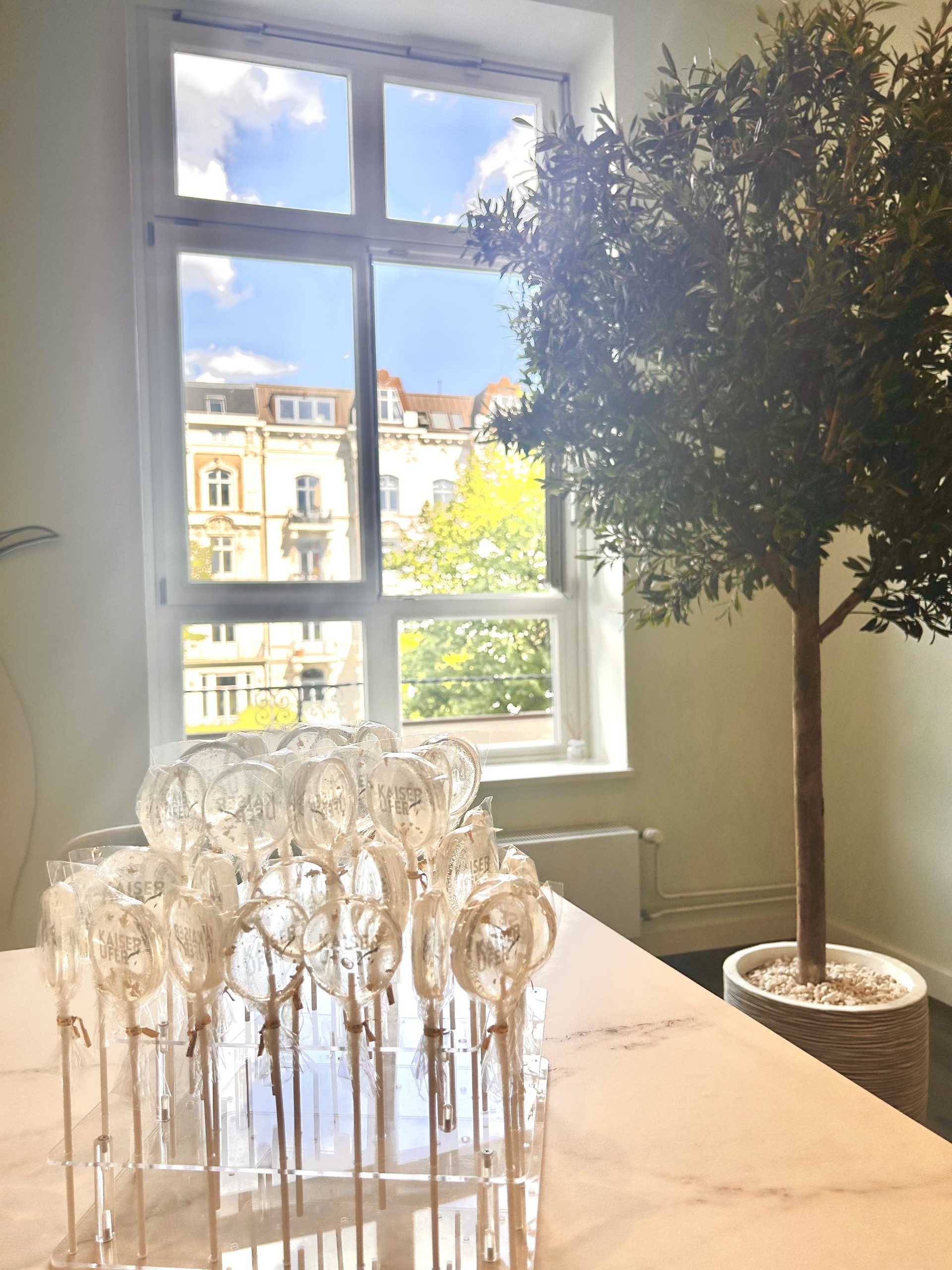 Empfangsbereich mit Olivenbaum und Licht im Kaiserufer Hamburg